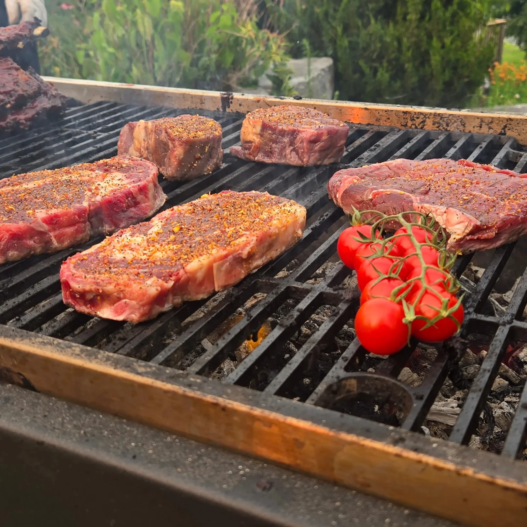 Fyrestoke outdoor grill catering for a family gathering